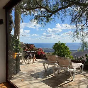 Apartment Pirul, Haria